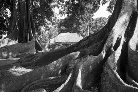 Case dans la brousse de Casamance