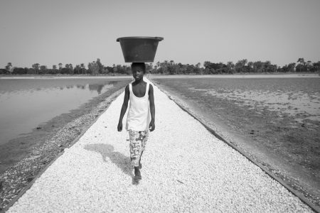 chemin en coquillage,  Mar Lodj, Delta du Sine Saloum