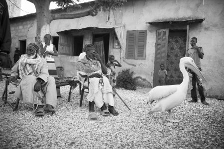 Cour d'une maison à Dionewar, Delta du Sine-Saloum