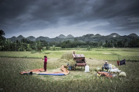 Rice fields, haverst, "chocolates hills", Bohol