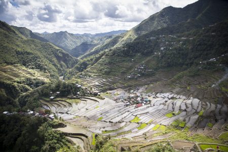 Rice Terraces, Batad, Luzon