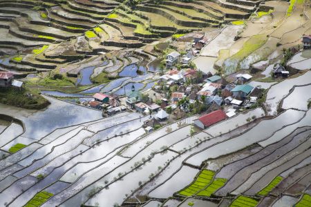 Rice Terraces, Batad, Luzon