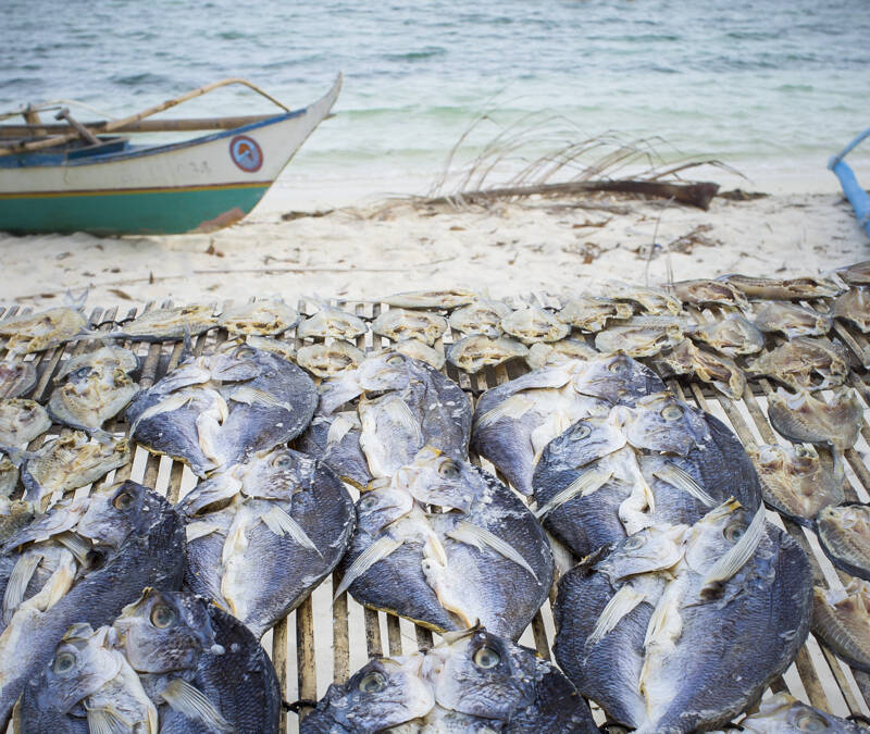 Poissons séchés, île de Palawan