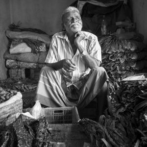 Vendeur de tabac sur le marché, Sri Lanka