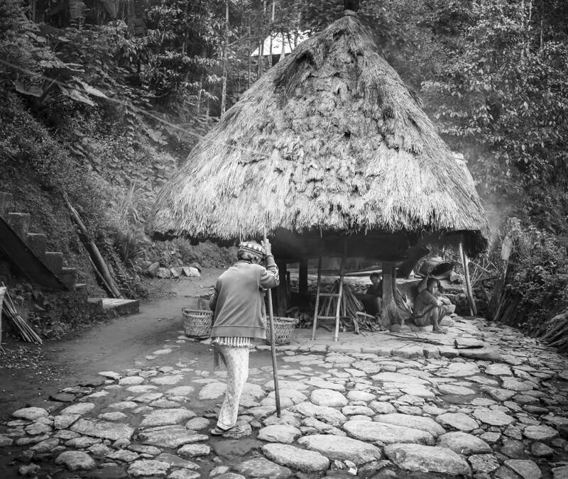 Habitat traditionnel Ifuago, Batad, île de Luzon