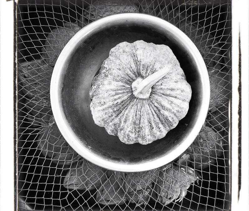 Crapauds dans la soupe de potiron ? Marché de Louang Namtha, Laos